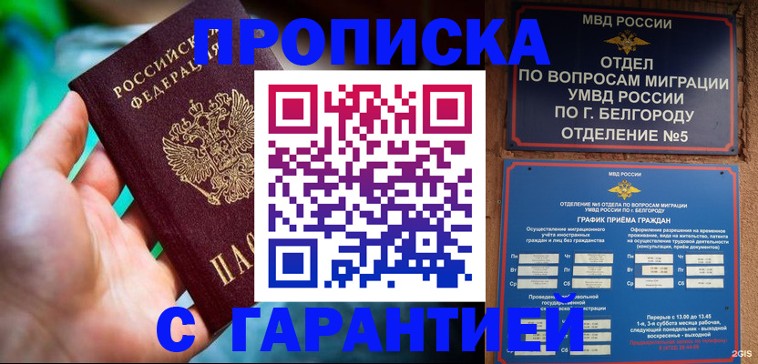 прописка для работы в Пионерском